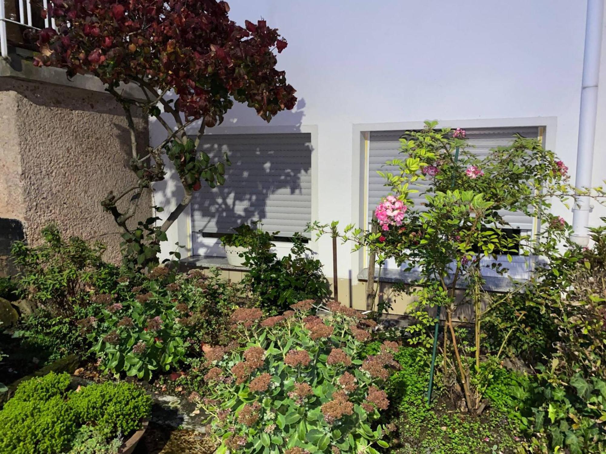 Moderne Souterrain-Oase In Top-Lage Bad Hersfeld Exterior foto